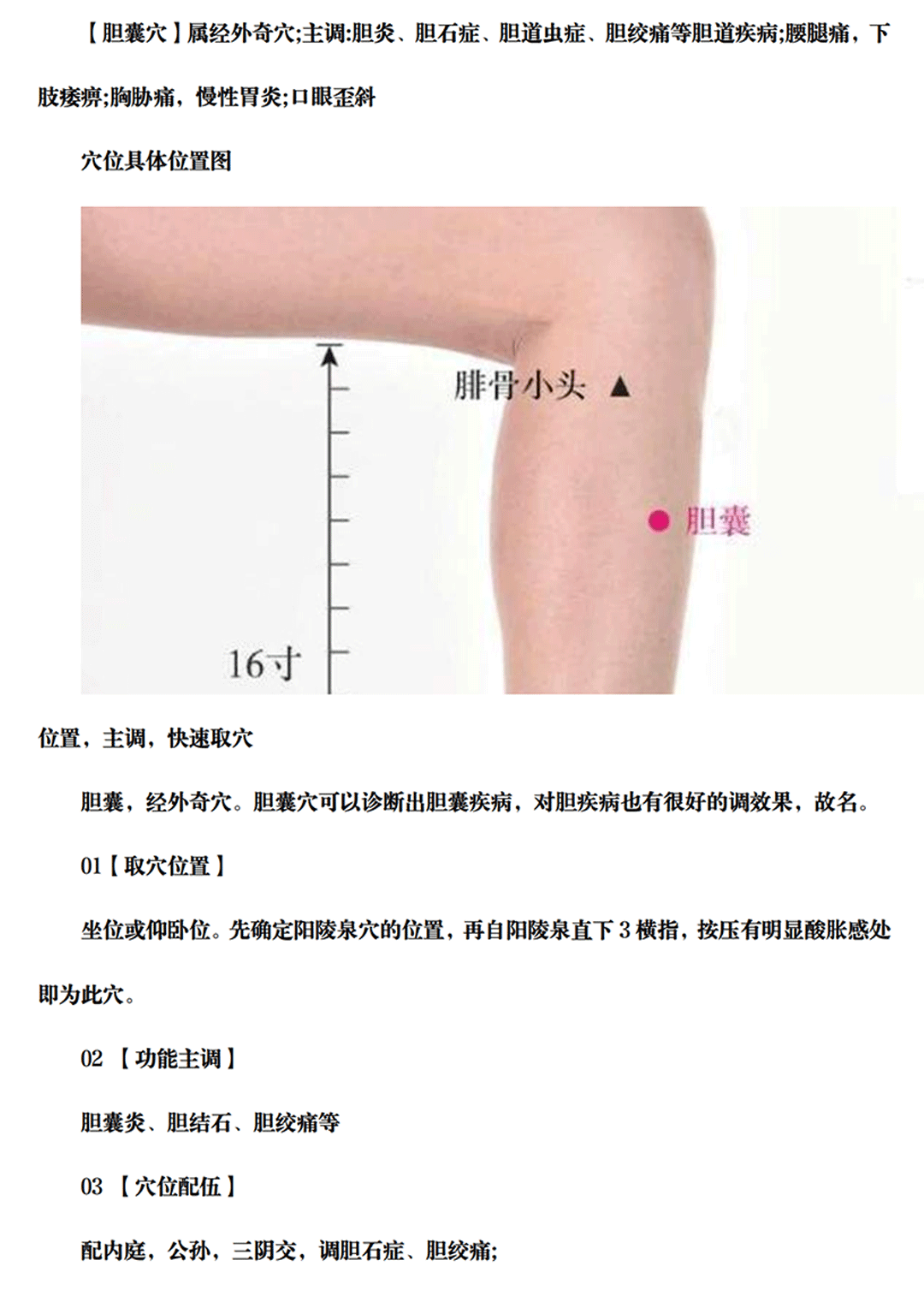 胆囊穴_00.gif