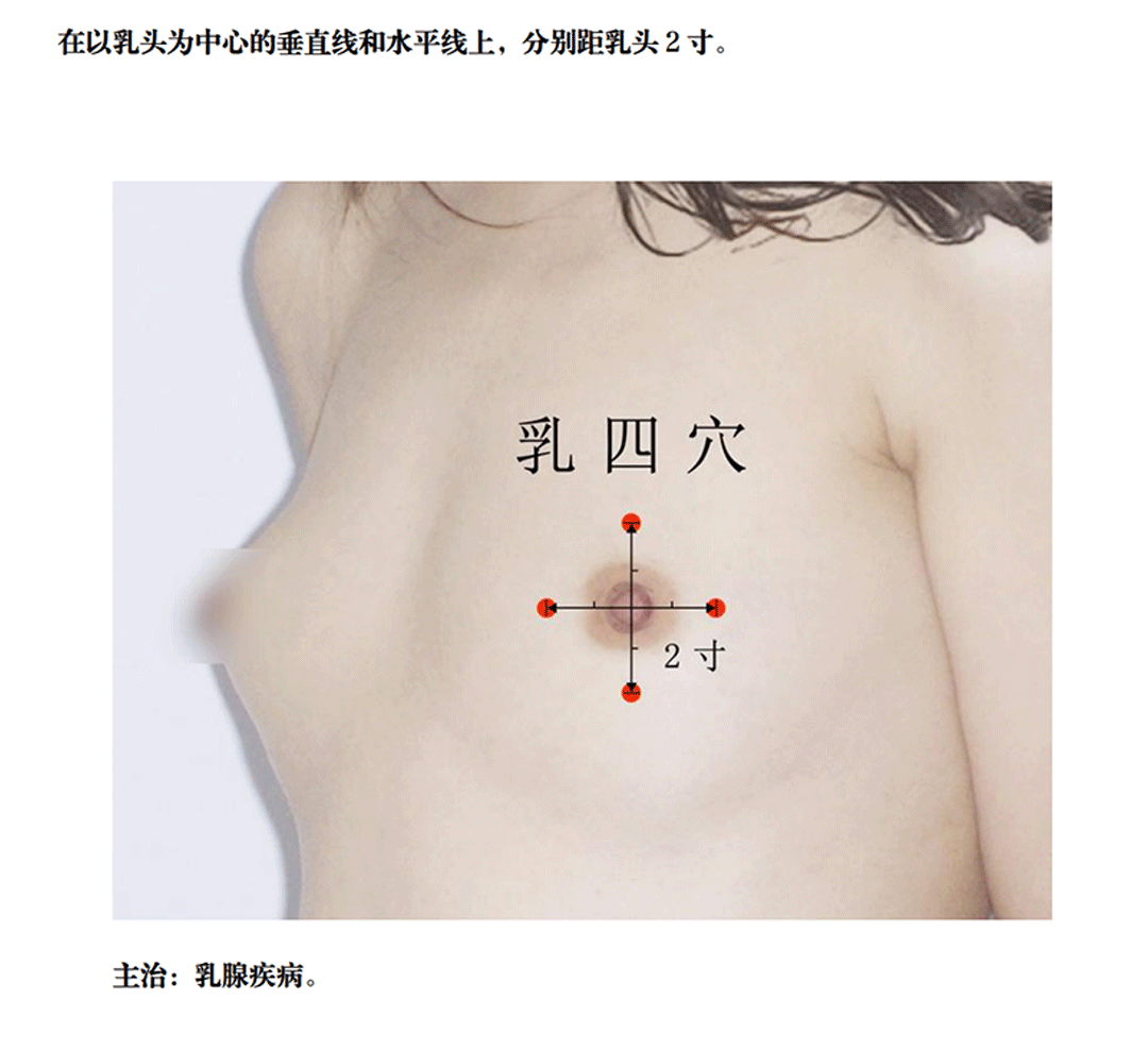 乳四穴_00.gif