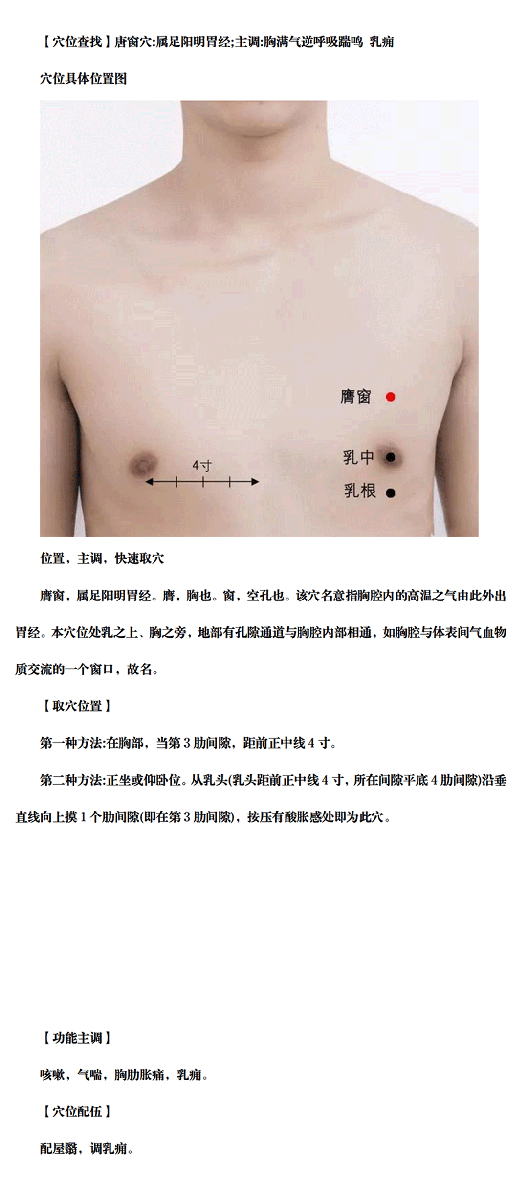 膺窗穴_00.gif