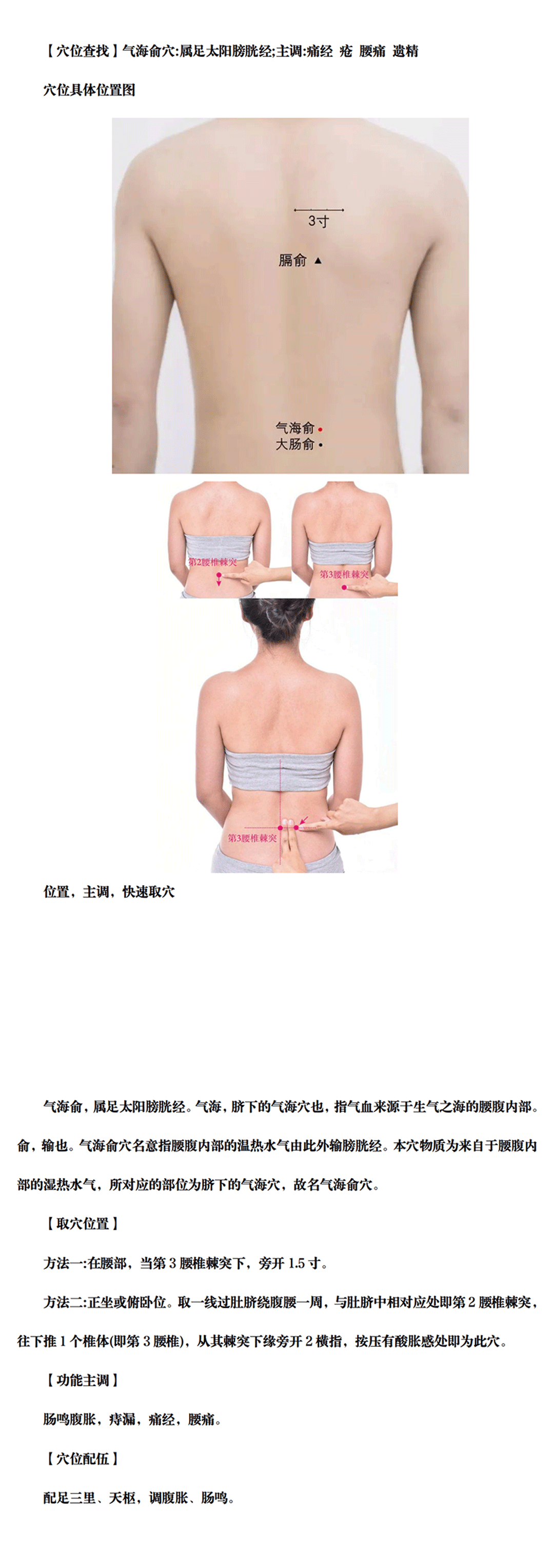 气海俞穴_00.gif