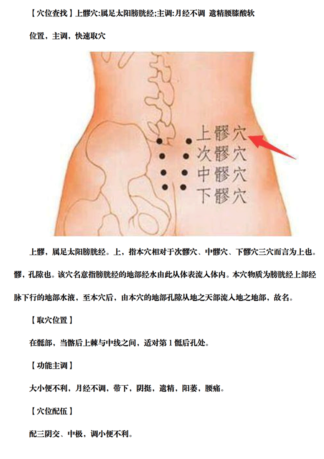 上髎穴_00.gif