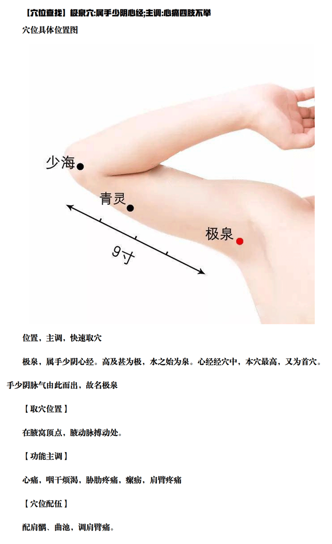 极泉穴_00(1).gif